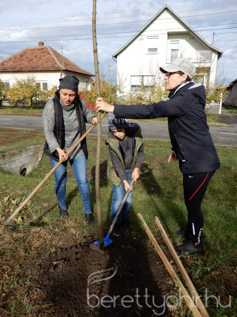 Közösségi faültetés Berettyóújfaluban 45